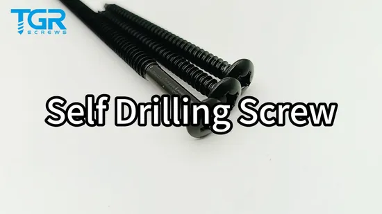 Fissaggio resistente con vite Ruspert/vite per tetto